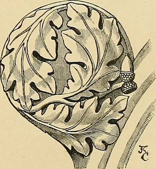 An illustration from Examples of English medieval foliage and coloured decoration, taken from buildings of the twelfth to the fifteenth century: with descriptive letterpress, 1874, leaf 71
