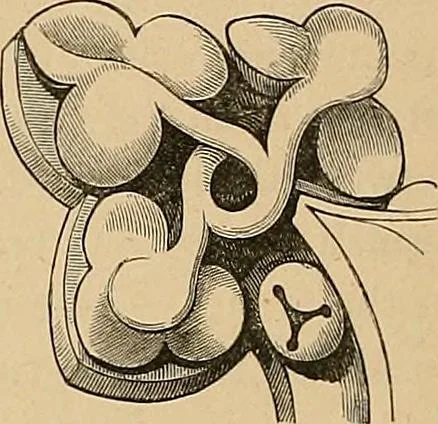 An illustration from Examples of English medieval foliage and coloured decoration, taken from buildings of the twelfth to the fifteenth century: with descriptive letterpress, 1874, leaf 72