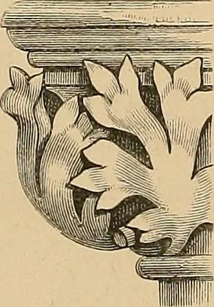 An illustration from Examples of English medieval foliage and coloured decoration, taken from buildings of the twelfth to the fifteenth century: with descriptive letterpress, 1874, leaf 72