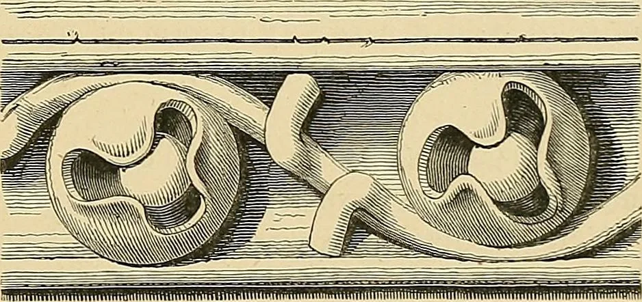 An illustration from Examples of English medieval foliage and coloured decoration, taken from buildings of the twelfth to the fifteenth century: with descriptive letterpress, 1874, leaf 73