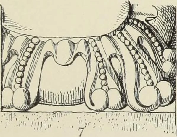 An illustration from Examples of English mediaeval foliage and coloured decoration, taken from buildings of the twelfth to the fifteenth century: with descriptive letterpress, 1874, leaf 101