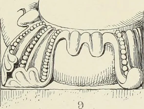 An illustration from Examples of English mediaeval foliage and coloured decoration, taken from buildings of the twelfth to the fifteenth century: with descriptive letterpress, 1874, leaf 101