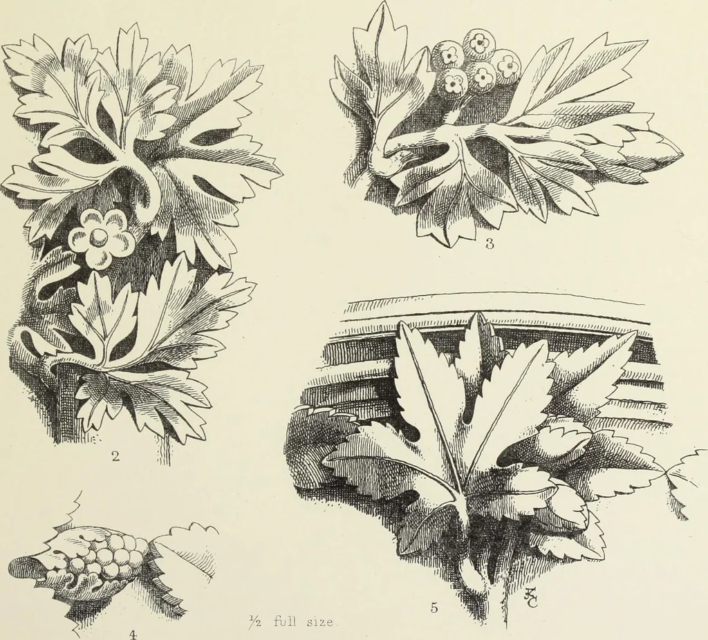 An illustration from Examples of English mediaeval foliage and coloured decoration, taken from buildings of the twelfth to the fifteenth century: with descriptive letterpress, 1874, leaf 257