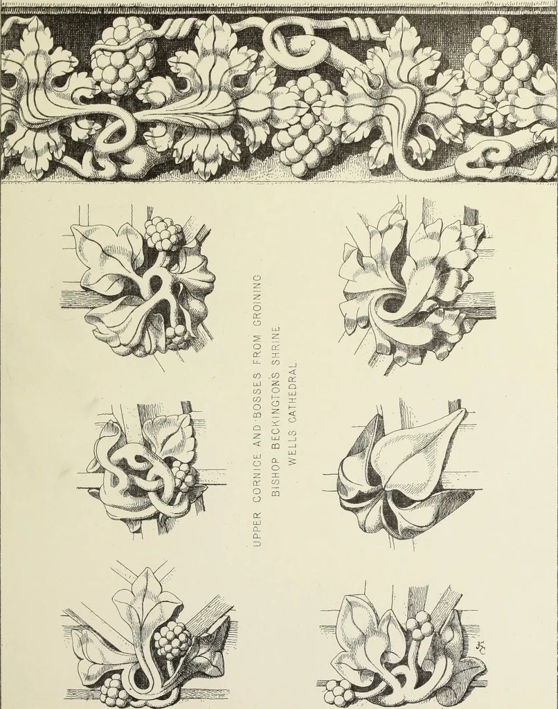 An illustration from Examples of English mediaeval foliage and coloured decoration, taken from buildings of the twelfth to the fifteenth century: with descriptive letterpress, 1874, leaf 329