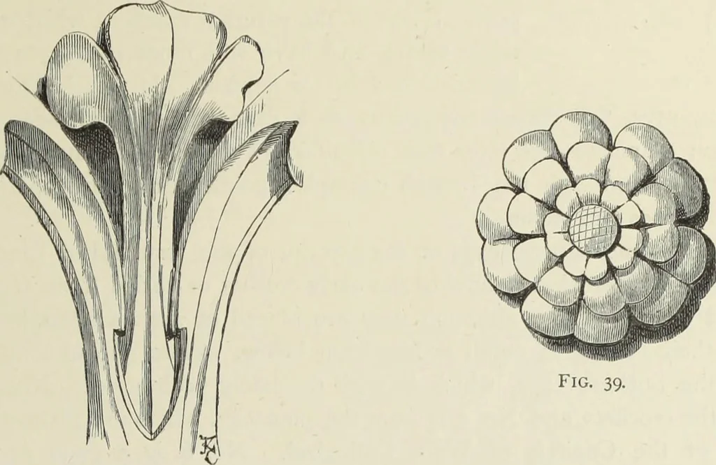 An illustration from Examples of English mediaeval foliage and coloured decoration, taken from buildings of the twelfth to the fifteenth century: with descriptive letterpress, 1874, leaf 51