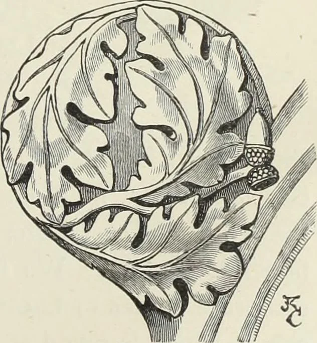 An illustration from Examples of English mediaeval foliage and coloured decoration, taken from buildings of the twelfth to the fifteenth century: with descriptive letterpress, 1874, leaf 61