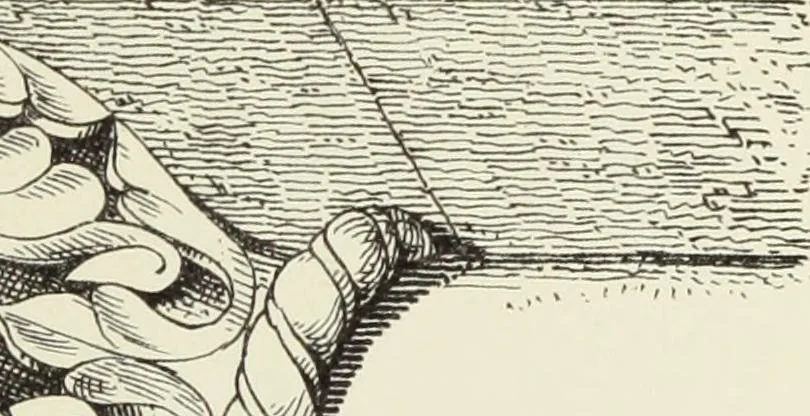 An illustration from Examples of English mediaeval foliage and coloured decoration, taken from buildings of the twelfth to the fifteenth century: with descriptive letterpress, 1874, leaf 97