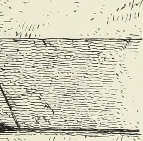 An illustration from Examples of English mediaeval foliage and coloured decoration, taken from buildings of the twelfth to the fifteenth century: with descriptive letterpress, 1874, leaf 97