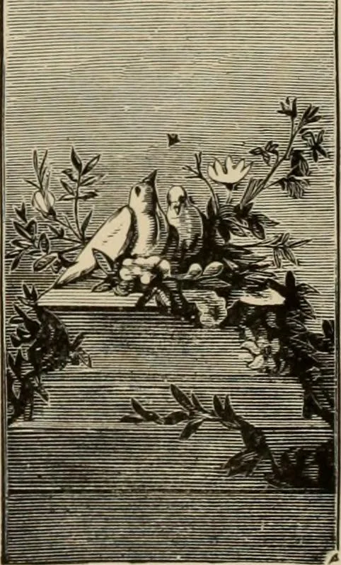 An illustration from Examples of household taste, 1875, leaf 317