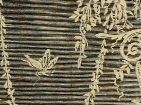 An illustration from Examples of household taste, 1875, leaf 388