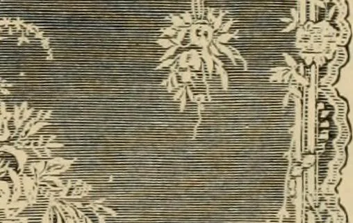 An illustration from Examples of household taste, 1875, leaf 388