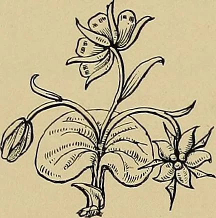 An illustration from Examples of the works of art in the Museum and of the decorations of the building, with brief descriptions, 1881, leaf 12