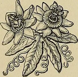 An illustration from Examples of the works of art in the Museum and of the decorations of the building, with brief descriptions, 1881, leaf 211