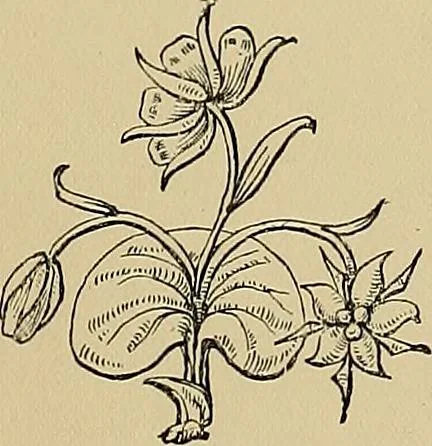 An illustration from Examples of the works of art in the Museum and of the decorations of the building, with brief descriptions, 1881, leaf 39