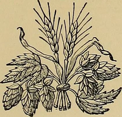 An illustration from Examples of the works of art in the Museum and of the decorations of the building, with brief descriptions, 1881, leaf 51