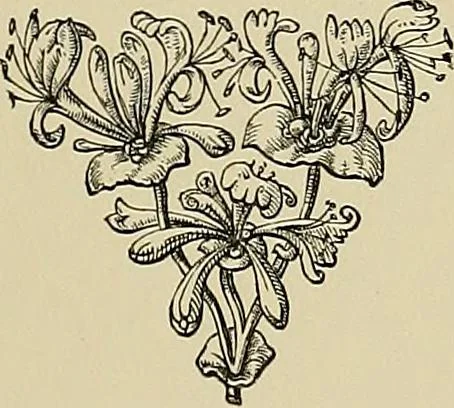 An illustration from Examples of the works of art in the Museum and of the decorations of the building, with brief descriptions, 1881, leaf 99