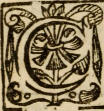 An illustration from An exposition of the lawes of Moses : viz., morall, ceremoniall, iudiciall ... the second volume .., 1632, leaf 247