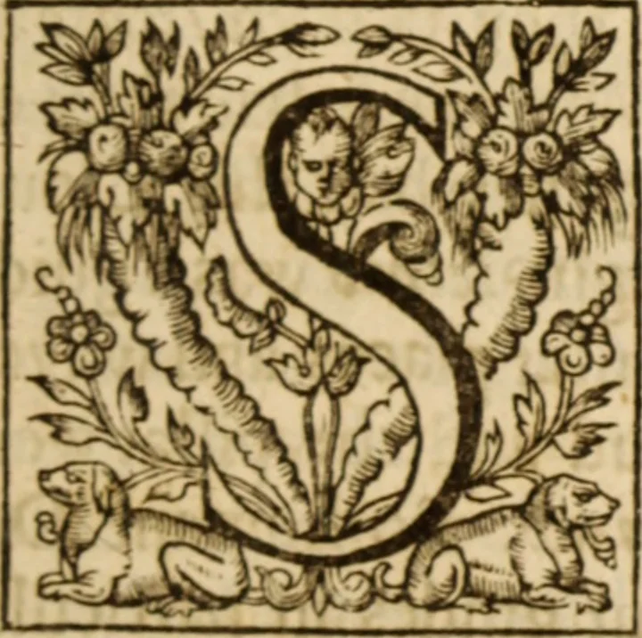 An illustration from An exposition of the lawes of Moses : viz., morall, ceremoniall, iudiciall ... the second volume .., 1632, leaf 38