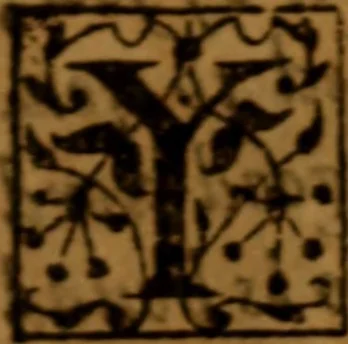 An illustration from The excellency, necessity and usefulness of patience : as also the patience of Job, and the end of the Lord .., 1674, leaf 108