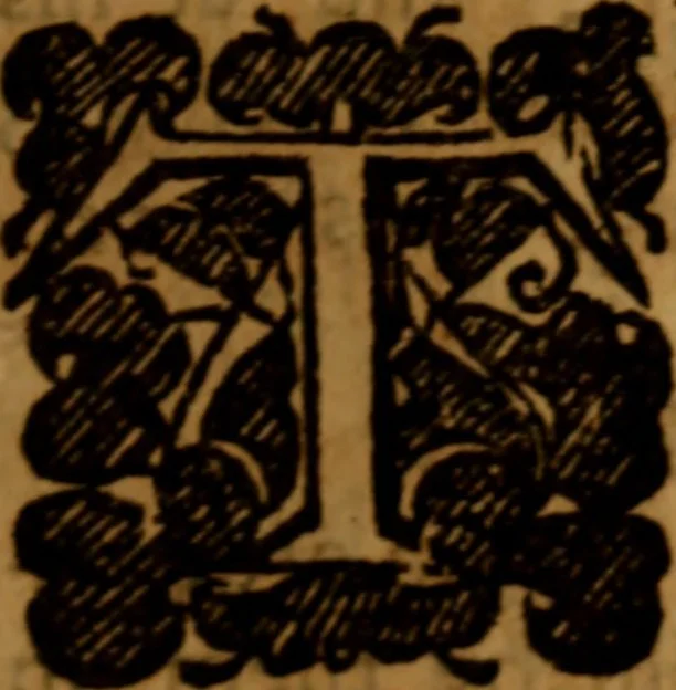 An illustration from The excellency, necessity and usefulness of patience : as also the patience of Job, and the end of the Lord .., 1674, leaf 110