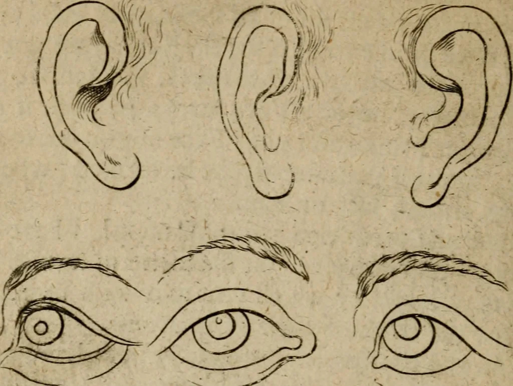 An illustration from The excellency of the pen and pencil, exemplifying the uses of them in the most exquisite and mysterious arts of drawing, etching, engraving, limning, painting in oyl, washing of maps & pictures : also the way to cleanse any old painting, and preserve the colours : collected from the writings of the ablest masters both antient and modern .., 1688, leaf 51