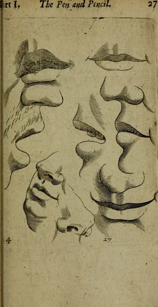An illustration from The excellency of the pen and pencil, exemplifying the uses of them in the most exquisite and mysterious arts of drawing, etching, engraving, limning, painting in oyl, washing of maps & pictures : also the way to cleanse any old painting, and preserve the colours : collected from the writings of the ablest masters both antient and modern .., 1688, leaf 52