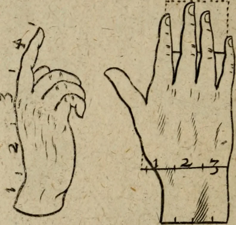 An illustration from The excellency of the pen and pencil, exemplifying the uses of them in the most exquisite and mysterious arts of drawing, etching, engraving, limning, painting in oyl, washing of maps & pictures : also the way to cleanse any old painting, and preserve the colours : collected from the writings of the ablest masters both antient and modern .., 1688, leaf 53