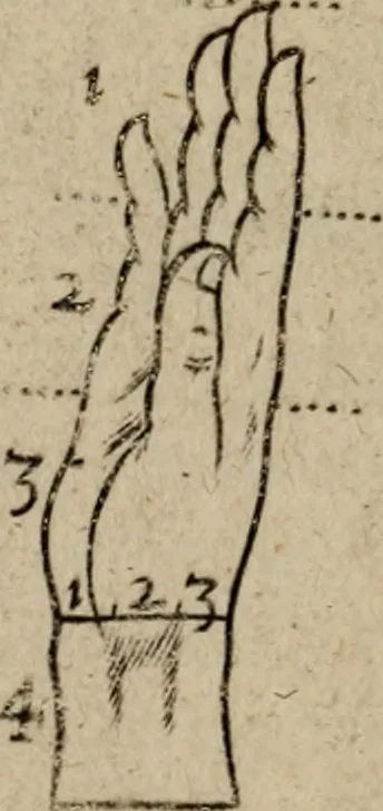 An illustration from The excellency of the pen and pencil, exemplifying the uses of them in the most exquisite and mysterious arts of drawing, etching, engraving, limning, painting in oyl, washing of maps & pictures : also the way to cleanse any old painting, and preserve the colours : collected from the writings of the ablest masters both antient and modern .., 1688, leaf 53