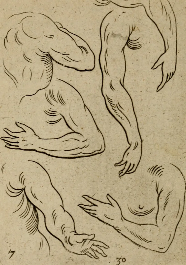 An illustration from The excellency of the pen and pencil, exemplifying the uses of them in the most exquisite and mysterious arts of drawing, etching, engraving, limning, painting in oyl, washing of maps & pictures : also the way to cleanse any old painting, and preserve the colours : collected from the writings of the ablest masters both antient and modern .., 1688, leaf 55