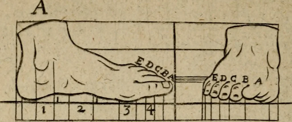 An illustration from The excellency of the pen and pencil, exemplifying the uses of them in the most exquisite and mysterious arts of drawing, etching, engraving, limning, painting in oyl, washing of maps & pictures : also the way to cleanse any old painting, and preserve the colours : collected from the writings of the ablest masters both antient and modern .., 1688, leaf 57