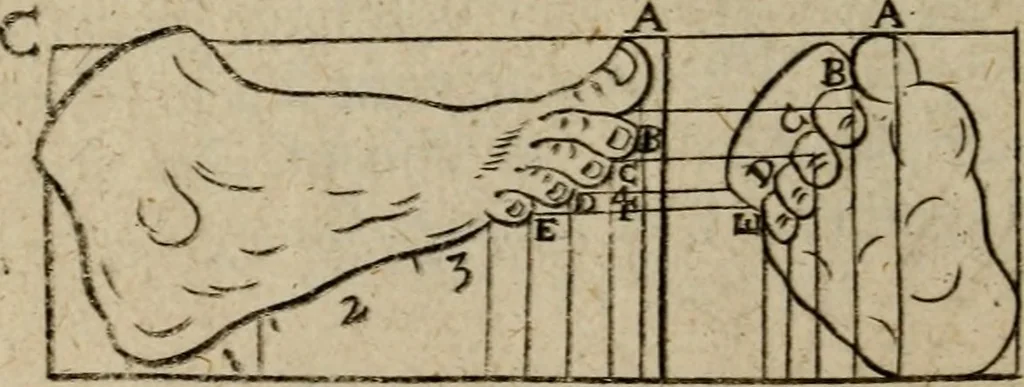 An illustration from The excellency of the pen and pencil, exemplifying the uses of them in the most exquisite and mysterious arts of drawing, etching, engraving, limning, painting in oyl, washing of maps & pictures : also the way to cleanse any old painting, and preserve the colours : collected from the writings of the ablest masters both antient and modern .., 1688, leaf 57