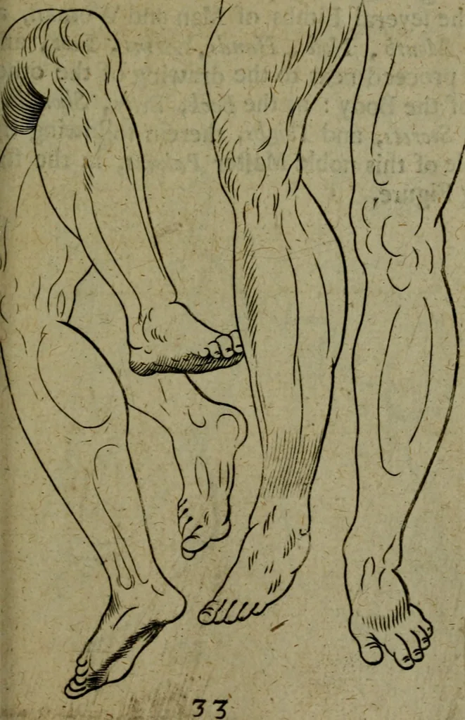 An illustration from The excellency of the pen and pencil, exemplifying the uses of them in the most exquisite and mysterious arts of drawing, etching, engraving, limning, painting in oyl, washing of maps & pictures : also the way to cleanse any old painting, and preserve the colours : collected from the writings of the ablest masters both antient and modern .., 1688, leaf 58