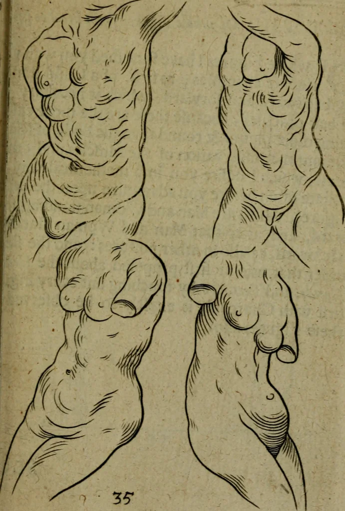 An illustration from The excellency of the pen and pencil, exemplifying the uses of them in the most exquisite and mysterious arts of drawing, etching, engraving, limning, painting in oyl, washing of maps & pictures : also the way to cleanse any old painting, and preserve the colours : collected from the writings of the ablest masters both antient and modern .., 1688, leaf 60
