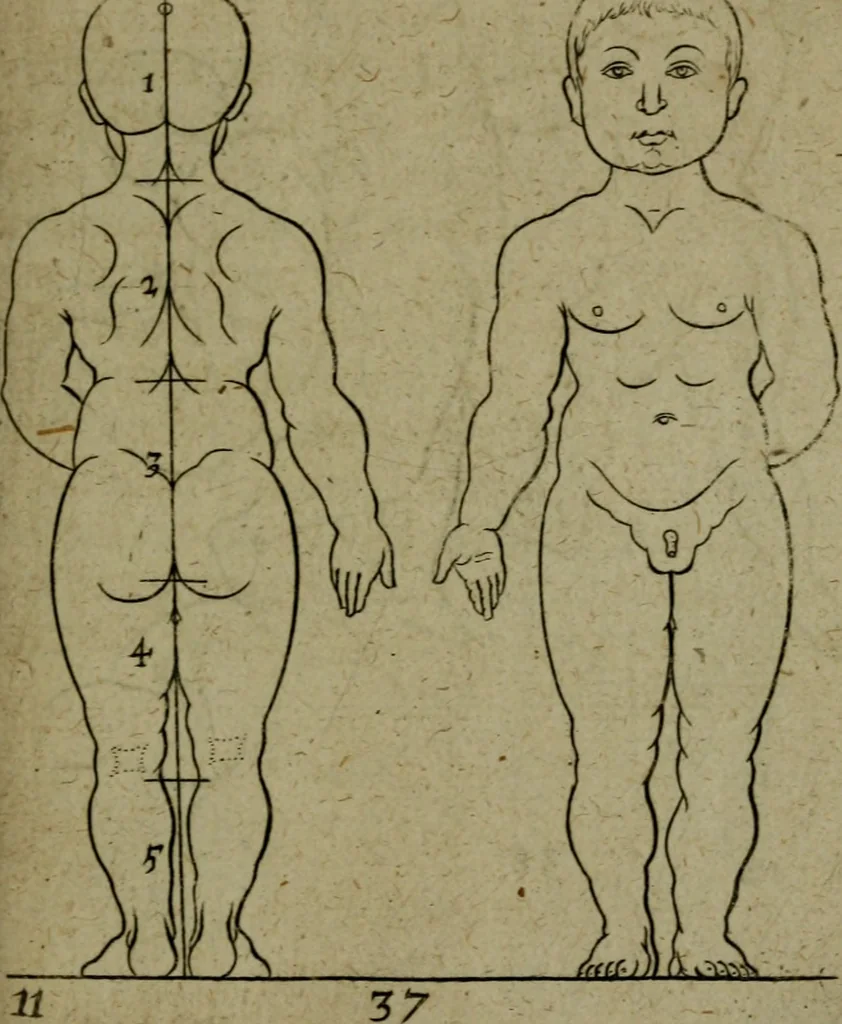 An illustration from The excellency of the pen and pencil, exemplifying the uses of them in the most exquisite and mysterious arts of drawing, etching, engraving, limning, painting in oyl, washing of maps & pictures : also the way to cleanse any old painting, and preserve the colours : collected from the writings of the ablest masters both antient and modern .., 1688, leaf 62