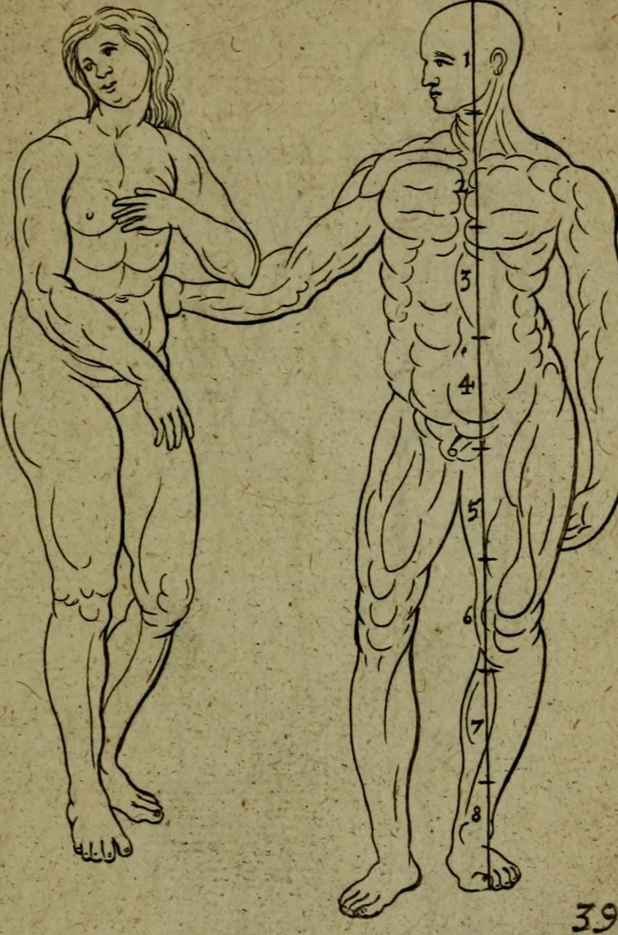 An illustration from The excellency of the pen and pencil, exemplifying the uses of them in the most exquisite and mysterious arts of drawing, etching, engraving, limning, painting in oyl, washing of maps & pictures : also the way to cleanse any old painting, and preserve the colours : collected from the writings of the ablest masters both antient and modern .., 1688, leaf 64