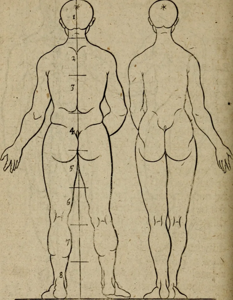 An illustration from The excellency of the pen and pencil, exemplifying the uses of them in the most exquisite and mysterious arts of drawing, etching, engraving, limning, painting in oyl, washing of maps & pictures : also the way to cleanse any old painting, and preserve the colours : collected from the writings of the ablest masters both antient and modern .., 1688, leaf 65
