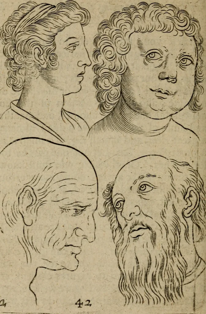 An illustration from The excellency of the pen and pencil, exemplifying the uses of them in the most exquisite and mysterious arts of drawing, etching, engraving, limning, painting in oyl, washing of maps & pictures : also the way to cleanse any old painting, and preserve the colours : collected from the writings of the ablest masters both antient and modern .., 1688, leaf 67