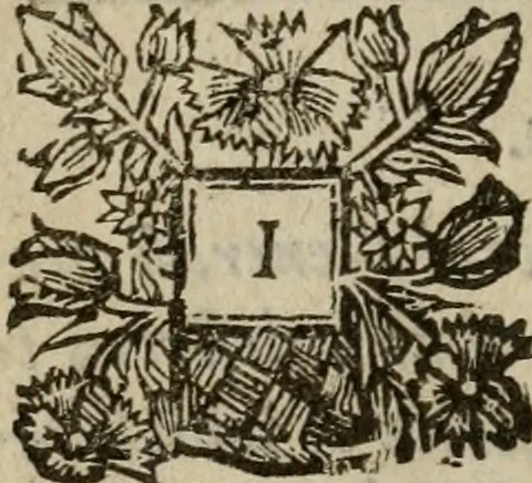 An illustration from The excellency of the pen and pencil, exemplifying the uses of them in the most exquisite and mysterious arts of drawing, etching, engraving, limning. Painting in oyl, washing of maps & pictures. Also the way to cleanse any old painting, and preserve the colours. Collected from the writings of the ablest masters, both antient and modern, as Albert Durer, P. Lomantius, and divers others. Furnished with divers cuts in copper, being copied from the best masters, and here inserted for examples for the learner to practice by .., 1668, leaf 23