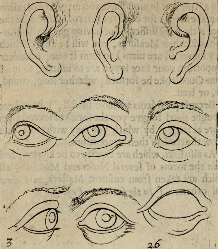 An illustration from The excellency of the pen and pencil, exemplifying the uses of them in the most exquisite and mysterious arts of drawing, etching, engraving, limning. Painting in oyl, washing of maps & pictures. Also the way to cleanse any old painting, and preserve the colours. Collected from the writings of the ablest masters, both antient and modern, as Albert Durer, P. Lomantius, and divers others. Furnished with divers cuts in copper, being copied from the best masters, and here inserted for examples for the learner to practice by .., 1668, leaf 47