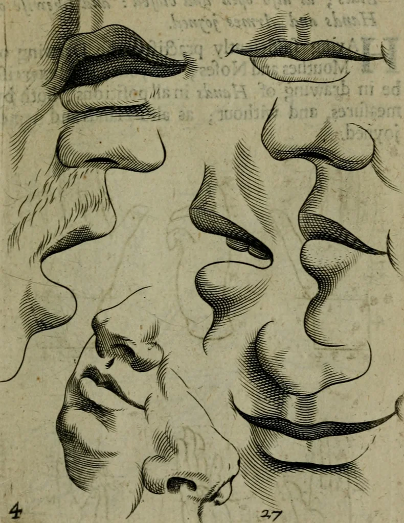 An illustration from The excellency of the pen and pencil, exemplifying the uses of them in the most exquisite and mysterious arts of drawing, etching, engraving, limning. Painting in oyl, washing of maps & pictures. Also the way to cleanse any old painting, and preserve the colours. Collected from the writings of the ablest masters, both antient and modern, as Albert Durer, P. Lomantius, and divers others. Furnished with divers cuts in copper, being copied from the best masters, and here inserted for examples for the learner to practice by .., 1668, leaf 48