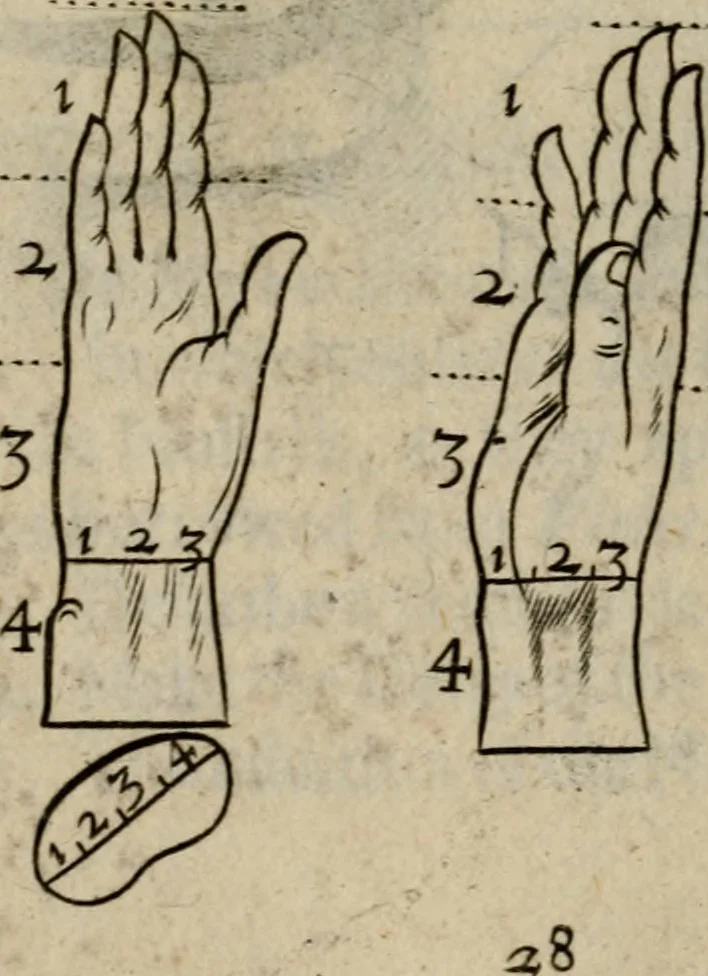 An illustration from The excellency of the pen and pencil, exemplifying the uses of them in the most exquisite and mysterious arts of drawing, etching, engraving, limning. Painting in oyl, washing of maps & pictures. Also the way to cleanse any old painting, and preserve the colours. Collected from the writings of the ablest masters, both antient and modern, as Albert Durer, P. Lomantius, and divers others. Furnished with divers cuts in copper, being copied from the best masters, and here inserted for examples for the learner to practice by .., 1668, leaf 49