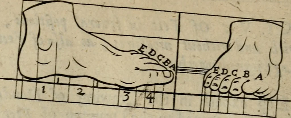 An illustration from The excellency of the pen and pencil, exemplifying the uses of them in the most exquisite and mysterious arts of drawing, etching, engraving, limning. Painting in oyl, washing of maps & pictures. Also the way to cleanse any old painting, and preserve the colours. Collected from the writings of the ablest masters, both antient and modern, as Albert Durer, P. Lomantius, and divers others. Furnished with divers cuts in copper, being copied from the best masters, and here inserted for examples for the learner to practice by .., 1668, leaf 53