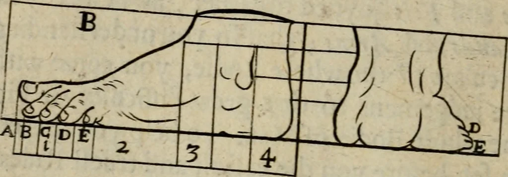 An illustration from The excellency of the pen and pencil, exemplifying the uses of them in the most exquisite and mysterious arts of drawing, etching, engraving, limning. Painting in oyl, washing of maps & pictures. Also the way to cleanse any old painting, and preserve the colours. Collected from the writings of the ablest masters, both antient and modern, as Albert Durer, P. Lomantius, and divers others. Furnished with divers cuts in copper, being copied from the best masters, and here inserted for examples for the learner to practice by .., 1668, leaf 53