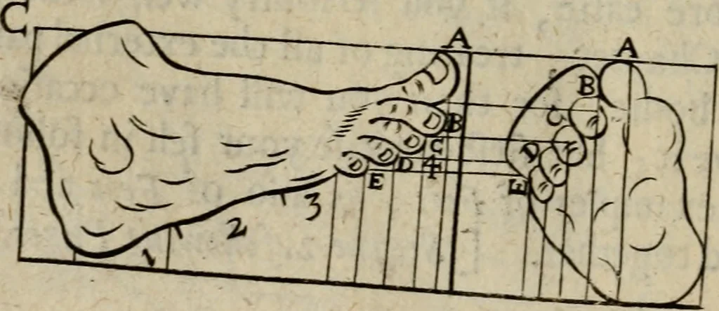 An illustration from The excellency of the pen and pencil, exemplifying the uses of them in the most exquisite and mysterious arts of drawing, etching, engraving, limning. Painting in oyl, washing of maps & pictures. Also the way to cleanse any old painting, and preserve the colours. Collected from the writings of the ablest masters, both antient and modern, as Albert Durer, P. Lomantius, and divers others. Furnished with divers cuts in copper, being copied from the best masters, and here inserted for examples for the learner to practice by .., 1668, leaf 53