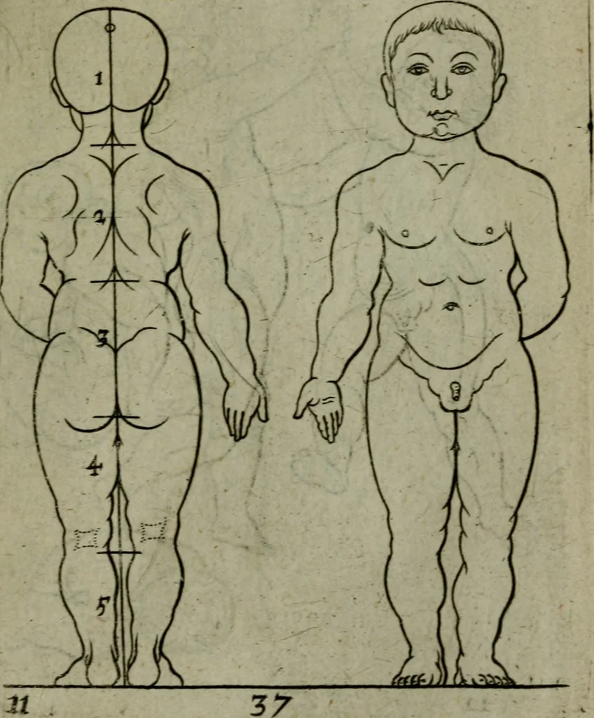 An illustration from The excellency of the pen and pencil, exemplifying the uses of them in the most exquisite and mysterious arts of drawing, etching, engraving, limning. Painting in oyl, washing of maps & pictures. Also the way to cleanse any old painting, and preserve the colours. Collected from the writings of the ablest masters, both antient and modern, as Albert Durer, P. Lomantius, and divers others. Furnished with divers cuts in copper, being copied from the best masters, and here inserted for examples for the learner to practice by .., 1668, leaf 58