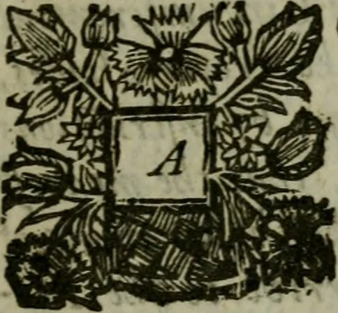 An illustration from The excellency of the pen and pencil, exemplifying the uses of them in the most exquisite and mysterious arts of drawing, etching, engraving, limning. Painting in oyl, washing of maps & pictures. Also the way to cleanse any old painting, and preserve the colours. Collected from the writings of the ablest masters, both antient and modern, as Albert Durer, P. Lomantius, and divers others. Furnished with divers cuts in copper, being copied from the best masters, and here inserted for examples for the learner to practice by .., 1668, leaf 6
