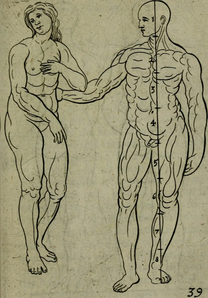 An illustration from The excellency of the pen and pencil, exemplifying the uses of them in the most exquisite and mysterious arts of drawing, etching, engraving, limning. Painting in oyl, washing of maps & pictures. Also the way to cleanse any old painting, and preserve the colours. Collected from the writings of the ablest masters, both antient and modern, as Albert Durer, P. Lomantius, and divers others. Furnished with divers cuts in copper, being copied from the best masters, and here inserted for examples for the learner to practice by .., 1668, leaf 60