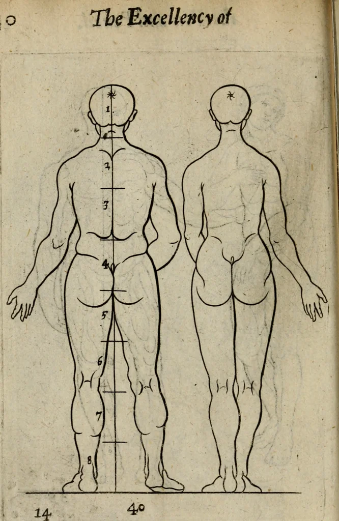 An illustration from The excellency of the pen and pencil, exemplifying the uses of them in the most exquisite and mysterious arts of drawing, etching, engraving, limning. Painting in oyl, washing of maps & pictures. Also the way to cleanse any old painting, and preserve the colours. Collected from the writings of the ablest masters, both antient and modern, as Albert Durer, P. Lomantius, and divers others. Furnished with divers cuts in copper, being copied from the best masters, and here inserted for examples for the learner to practice by .., 1668, leaf 61