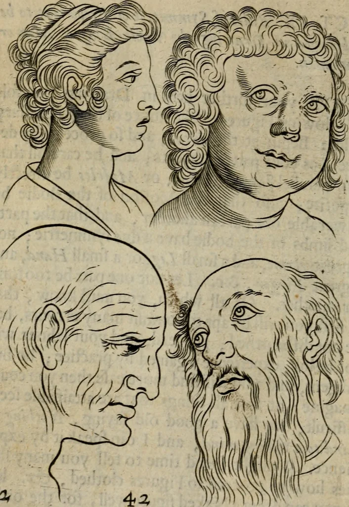 An illustration from The excellency of the pen and pencil, exemplifying the uses of them in the most exquisite and mysterious arts of drawing, etching, engraving, limning. Painting in oyl, washing of maps & pictures. Also the way to cleanse any old painting, and preserve the colours. Collected from the writings of the ablest masters, both antient and modern, as Albert Durer, P. Lomantius, and divers others. Furnished with divers cuts in copper, being copied from the best masters, and here inserted for examples for the learner to practice by .., 1668, leaf 63