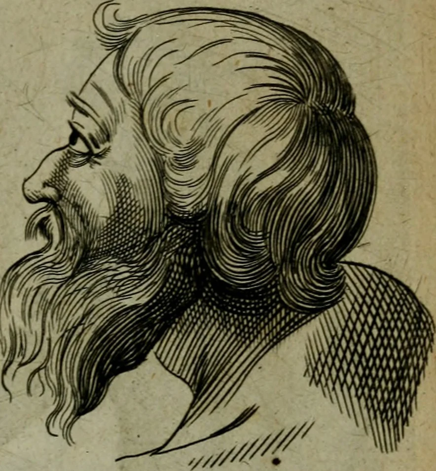 An illustration from The excellency of the pen and pencil, exemplifying the uses of them in the most exquisite and mysterious arts of drawing, etching, engraving, limning. Painting in oyl, washing of maps & pictures. Also the way to cleanse any old painting, and preserve the colours. Collected from the writings of the ablest masters, both antient and modern, as Albert Durer, P. Lomantius, and divers others. Furnished with divers cuts in copper, being copied from the best masters, and here inserted for examples for the learner to practice by .., 1668, leaf 64